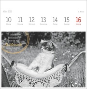 Monika Wegler: Katzen Weisheiten Premium-Postkartenkalender 2025 - Abbildung 11
