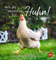 Ach, du verrücktes Huhn! Postkartenkalender 2025 - Cover