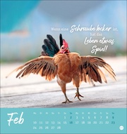 Hühner Postkartenkalender 2025 - Ach, du verrücktes Huhn! - Abbildung 2