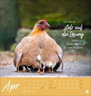 Hühner Postkartenkalender 2025 - Ach, du verrücktes Huhn! - Abbildung 4
