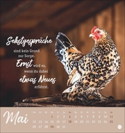 Hühner Postkartenkalender 2025 - Ach, du verrücktes Huhn! - Abbildung 5