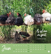 Hühner Postkartenkalender 2025 - Ach, du verrücktes Huhn! - Abbildung 6