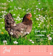 Hühner Postkartenkalender 2025 - Ach, du verrücktes Huhn! - Abbildung 7