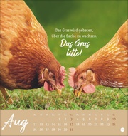 Hühner Postkartenkalender 2025 - Ach, du verrücktes Huhn! - Abbildung 8