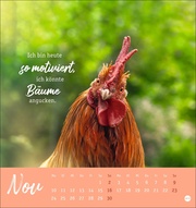 Hühner Postkartenkalender 2025 - Ach, du verrücktes Huhn! - Abbildung 11