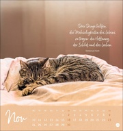 Augenblicke voller Zuversicht Postkartenkalender 2025 - Abbildung 11