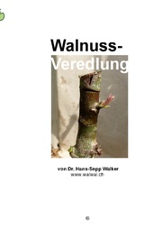 Walnuss-Veredlung - Cover