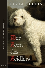 Der Zorn des Zeidlers. Historischer Kriminalroman - Cover