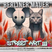 Berliner Mauer Street Art Malbuch für Erwachsene 3