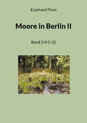Moore in Berlin II