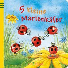 5 kleine Marienkäfer