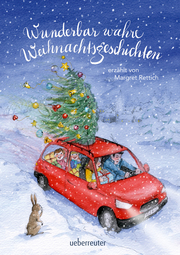 Wunderbar wahre Weihnachtsgeschichten - Cover
