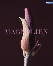 Magnolien - Cover
