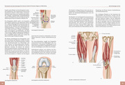 Die Anatomie der Sportverletzungen - Abbildung 6