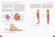 Die Anatomie der Sportverletzungen - Abbildung 7
