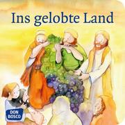 Ins gelobte Land. Exodus Teil 3. Mini-Bilderbuch. - Cover