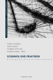 Schemata und Praktiken - Cover