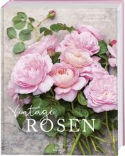 Vintage Rosen - Cover