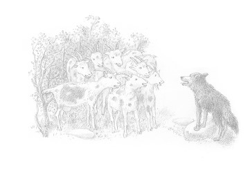 Das neugierige Füchslein im Bärenschloss - Abbildung 1