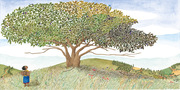 Bäume für Kenia - Abbildung 1