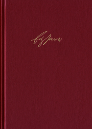 Friedrich Heinrich Jacobi: Briefwechsel - Nachlaß - Dokumente / Briefwechsel. Reihe I: Text. Band 12: Briefwechsel 1799-1800
