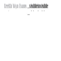 Cerith Wyn Evans: Visibleinvisible