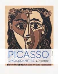 Picasso - Cover