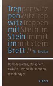 Treppenwitz mit Stein im Brett - Cover