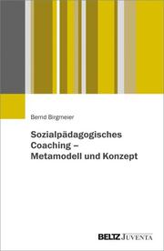 Sozialpädagogisches Coaching - Metamodell und Konzept