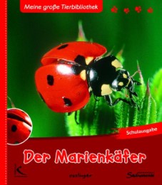 Der Marienkäfer