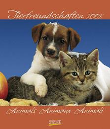 Tierfreundschaften/Animals/Animaux