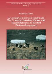 A Comparison between Tundra and Wet Grassland Breeding Waders with Special Reference to the Ruff (Philomachus pugnax)