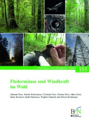 Fledermäuse und Windkraft im Wald