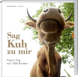 Sag' Kuh zu mir - Cover