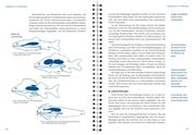 Arbeitsbuch Fischerprüfung - Abbildung 6