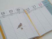 Der illustrierte Vogelkalender 2024 - Abbildung 7
