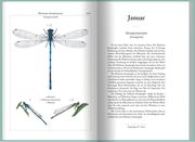 Libellenkalender 2025 - Abbildung 1