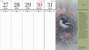 Der illustrierte Vogelkalender 2025 - Abbildung 2