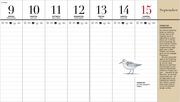 Der illustrierte Vogelkalender 2025 - Abbildung 4