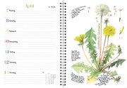Naturkalender 2025 - Abbildung 2