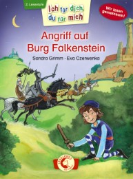 Angriff auf Burg Falkenstein - Cover