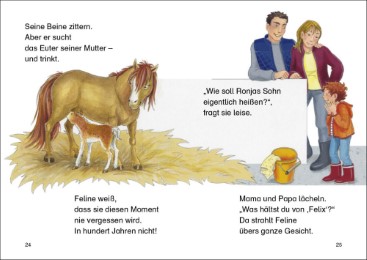 Ponygeschichten - Abbildung 3