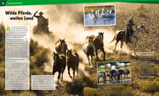 Pferde - Von frechen Fohlen und wilden Mustangs - Abbildung 3
