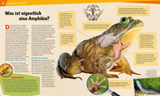 Amphibien und Reptilien - Gecko, Grasfrosch und Waran - Abbildung 3