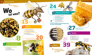 Bienen und Wespen - Abbildung 1