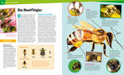 Bienen und Wespen - Abbildung 3