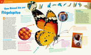 Schmetterlinge - Zauberhaft und farbenprächtig - Abbildung 4