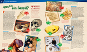 Fossilien - Spuren des Lebens - Abbildung 3