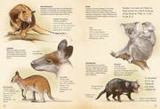 Das große Buch der Landsäugetiere - Abbildung 2