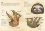 Das große Buch der Landsäugetiere - Abbildung 3